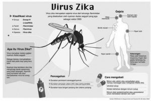 ilustrasi-gejala-tertular-virus-zika-_160201073506-917