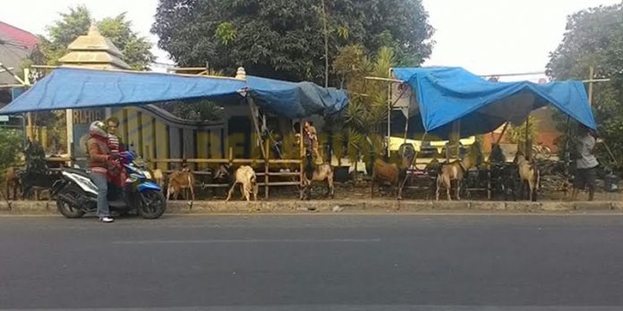 kurban
